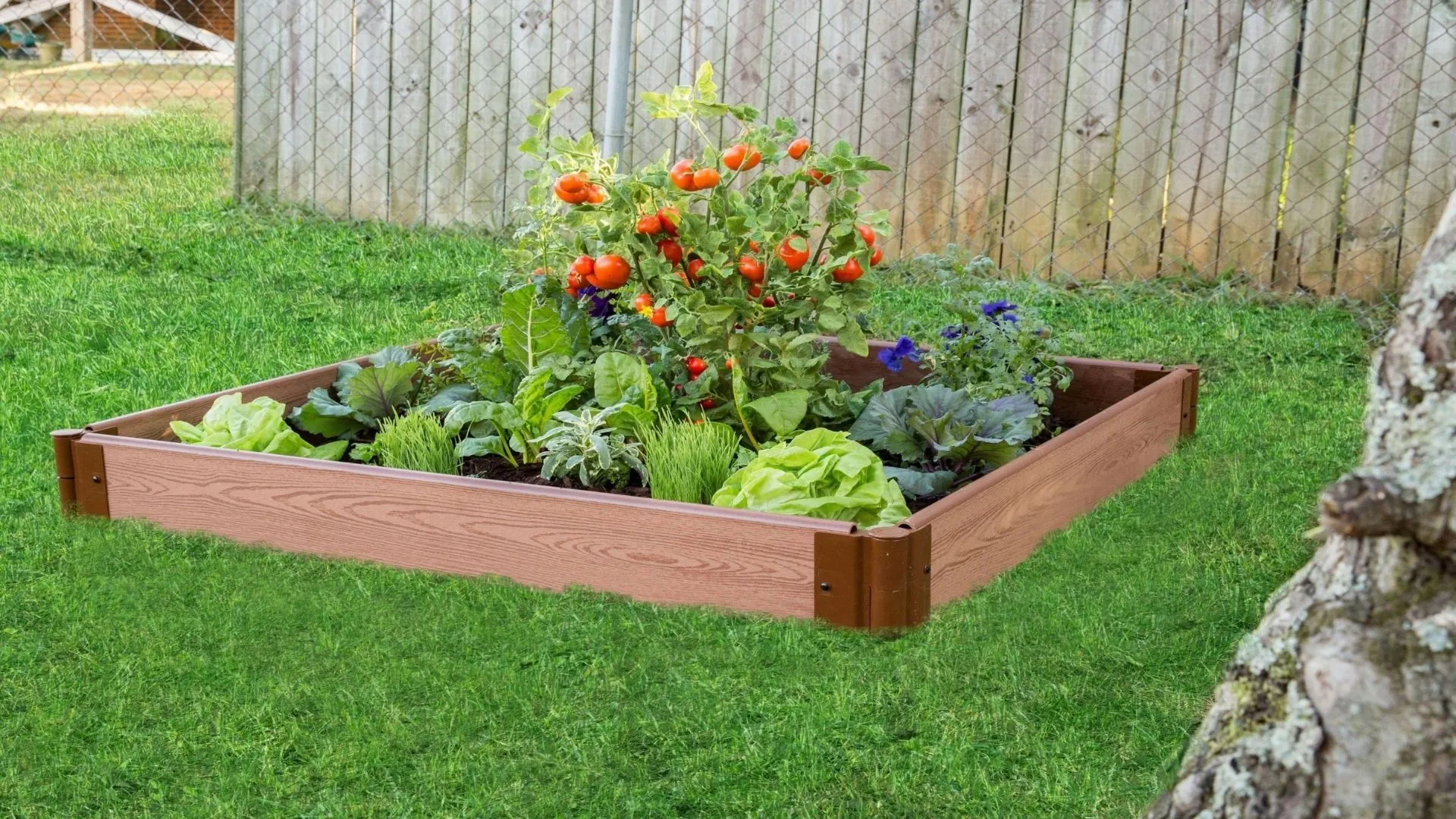 4' x 4' Raised Garden Bed