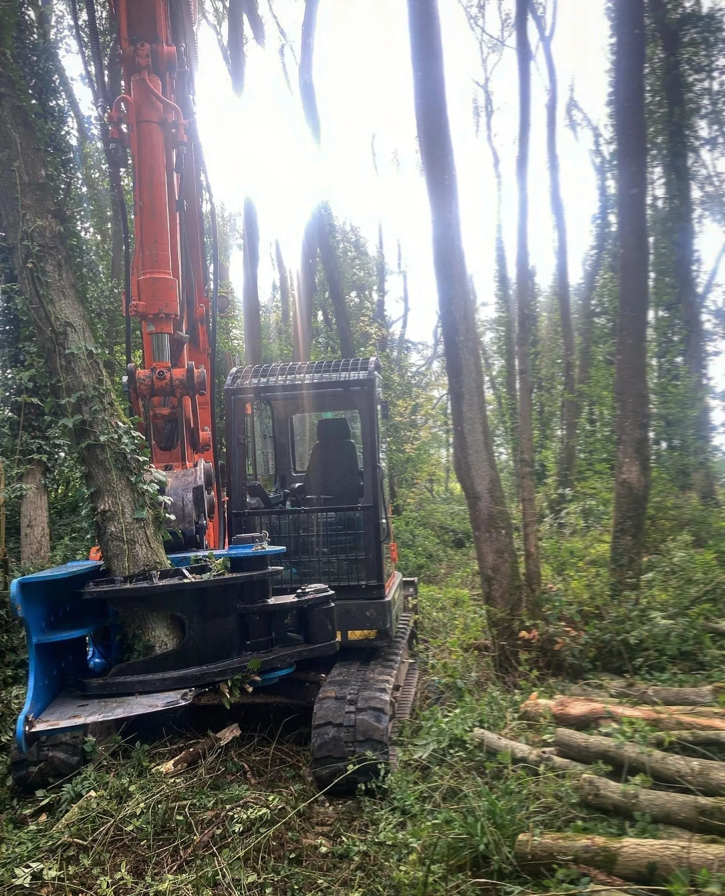 Alpha 320 Excavator Tree Shear - 5-15 Tonne