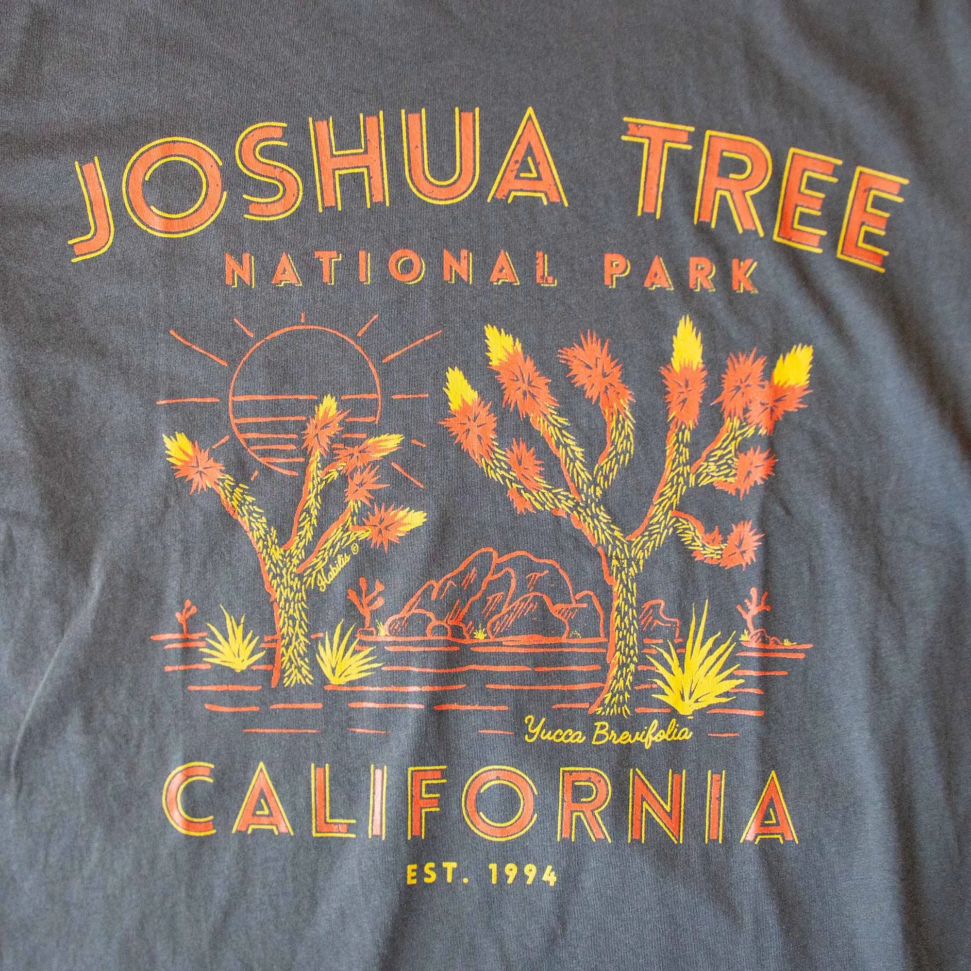 Joshua Tree T-Shirt - USA Made | 100% Cotton: XL / Black